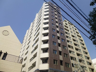 @݁@UEp[NnEXWfX