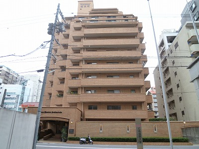 ����@�������݁@���C�I���Y�}���V�������{��