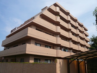 ���@���C�I���Y�}���V����������