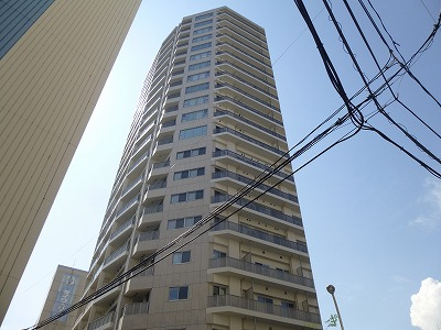 ���@�������݁@�V�e�B�g���G����